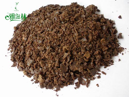 茶麸 茶麸(fū)